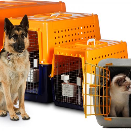 Pet-Relocation-Service-Market